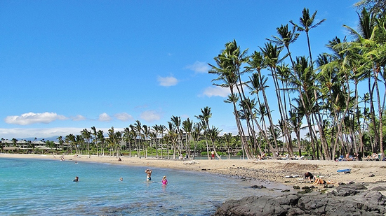 Anaeho'omalu Beach Just a short walk down a pathway leading past the ancient fishponds adjacent to the Waikoloa Beach Marriott Hotel, this is one of those amazing Hawaii beaches. Often referred to as A-Bay. There are no lifeguards at A-Bay. There are restrooms and outdoor showers near the south end. Directions : Turn off Highway 19 toward the ocean at Waikoloa Beach Drive. When you enter the village, you will pass Queen's Marketplace on your left. Before reaching the Marriott Hotel, turn left at the intersection opposite the Kings Shops, onto Kuualil Place. Follow until you see the public parking lot and walk to the beach. 