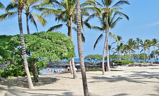 Kikaua Beach Kikaua Beach is a little piece of paradise, a cove filled with white sand and lined by a beautiful palm tree park. Located 12 miles north of Kailua-Kona along the Kohala Coast, Kikaua is one of our favorite family-friendly beaches. Parents and non-swimmers alike will appreciate the calm water in the protected bay and the soft sandy bottom, making this a perfect swim beach for kids of all ages. Directions : Access to Kikaua is 12 miles north of Kailiua-Kona, between the 87 and 88 mile markers. Turn onto Kuki'o Nui Drive before (south of) the Hualalai Resort entrance on Highway 19. Follow the road to the parking area. There are only 27 parking spaces at Kikaua. Since this is a gated community, just tell the guards at the gate you are going to the beach. 